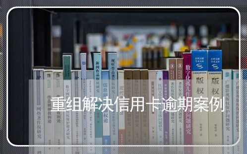 重组解决信用卡逾期案例/2023060249272