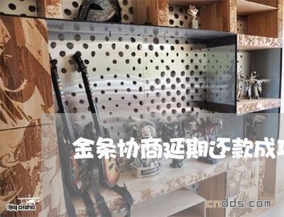 金条协商延期还款成功/2023101676046