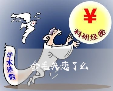 金毛失恋了么/2023120959460