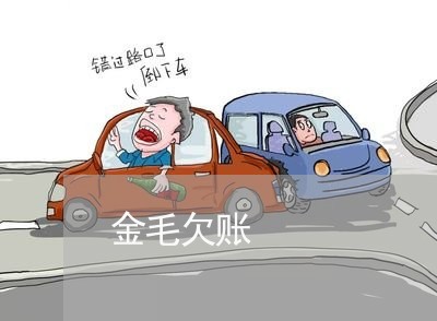 金毛欠账/2023120596257