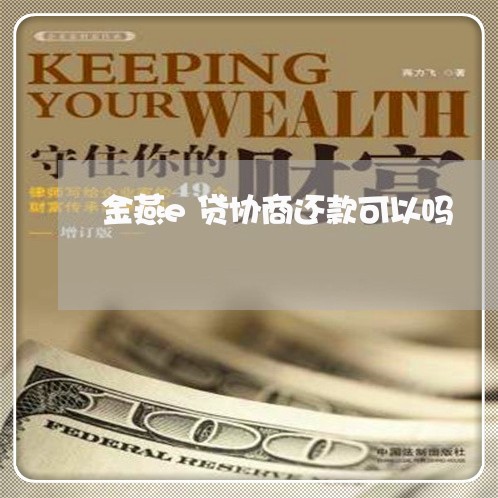 金燕e贷协商还款可以吗/2023092704826