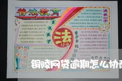 铜陵网贷逾期怎么协商还款/2023092541603