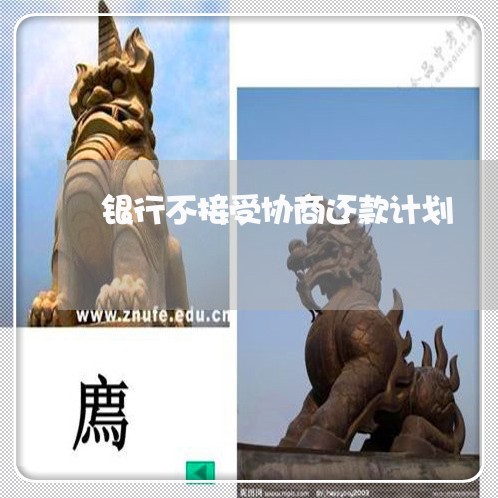 银行不接受协商还款计划/2023092217060