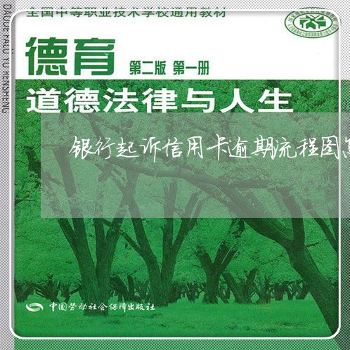 银行起诉信用卡逾期流程图怎么看/2023072206250