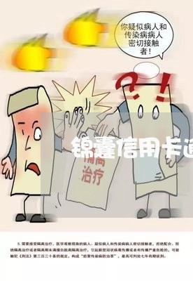 锦囊信用卡逾期了怎么办/2023121825927