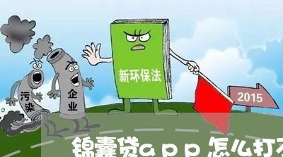 锦囊贷app怎么打不开/2023032728372