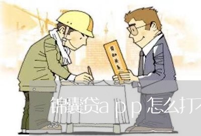 锦囊贷app怎么打不开/2023032761492