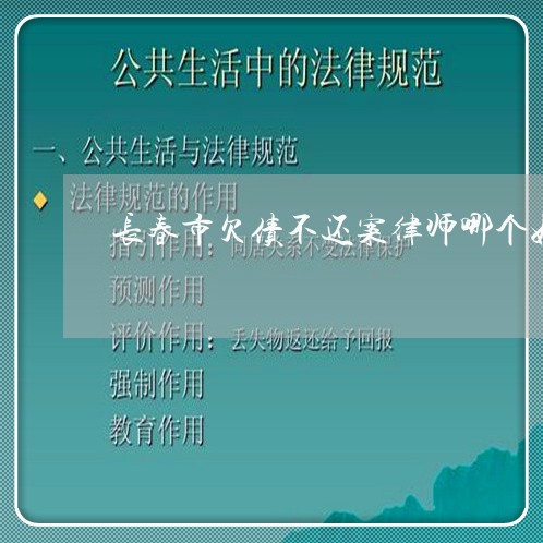 长春市欠债不还案律师哪个好/2023110792625