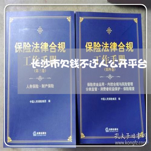 长沙市欠钱不还人公开平台/2023110773739