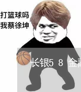 长银58金融协商还款电话是多少/2023100730202