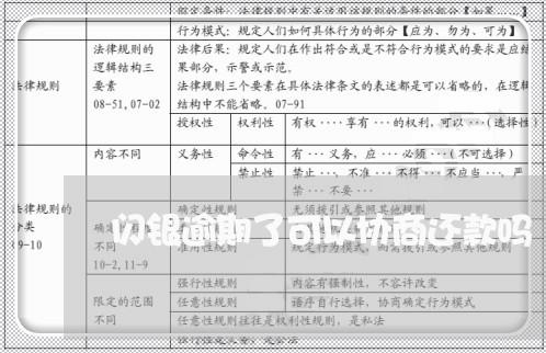 闪银逾期了可以协商还款吗/2023100742615