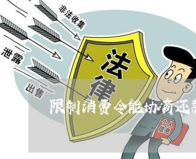 限制消费令能协商还款嘛/2023100615167