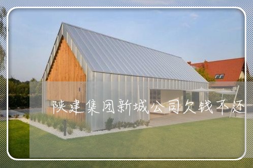 陕建集团新城公司欠钱不还/2023112561694