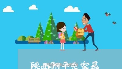 陕西阳平关家暴/2023090940504