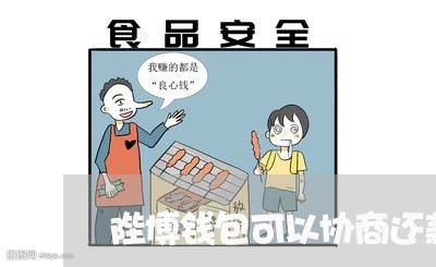 陛博钱包可以协商还款吗/2023092285725