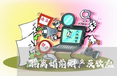 隔离婚前财产及收益/2023110984714