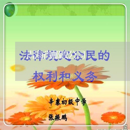 青海省邮政公司/2023031741506