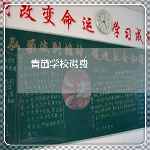 青苗学校退费/2023041705139