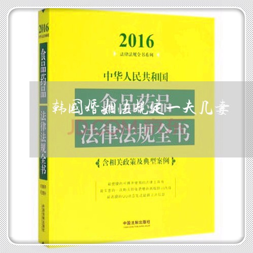 韩国婚姻法规定一夫几妻/2023112413947