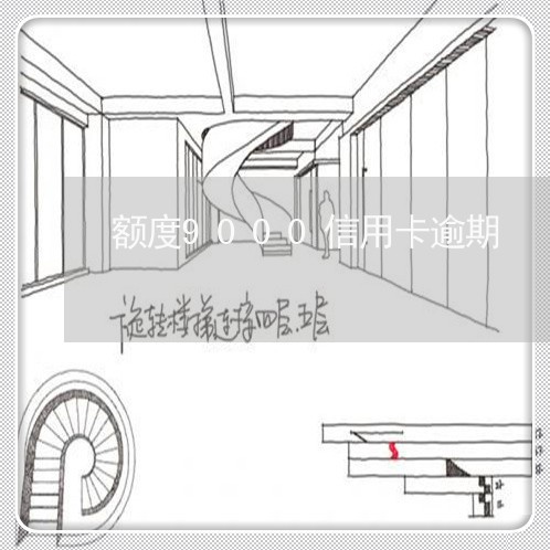 额度9000信用卡逾期/2023111939250