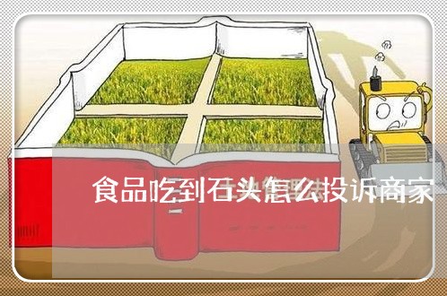 食品吃到石头怎么投诉商家/2023030339059