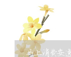 马上消费安逸花是什么平台/2023040449473