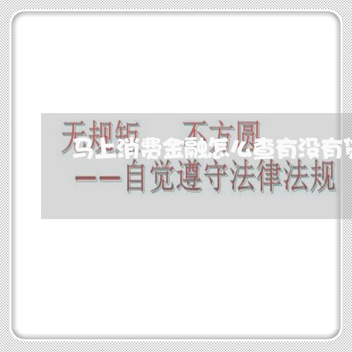 马上消费金融怎么查有没有贷款/2023031411694