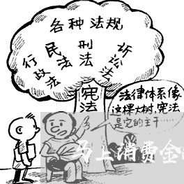 马上消费金融投诉有用吗/2023030731372