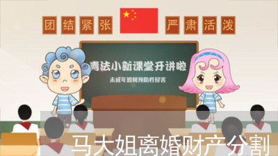 马大姐离婚财产分割/2023110807835