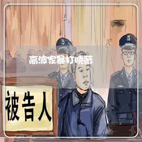 高波家暴打晓薇/2023090772605