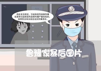 鲁豫家暴后图片/2023090739595