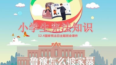 鲁豫怎么被家暴/2023121851473