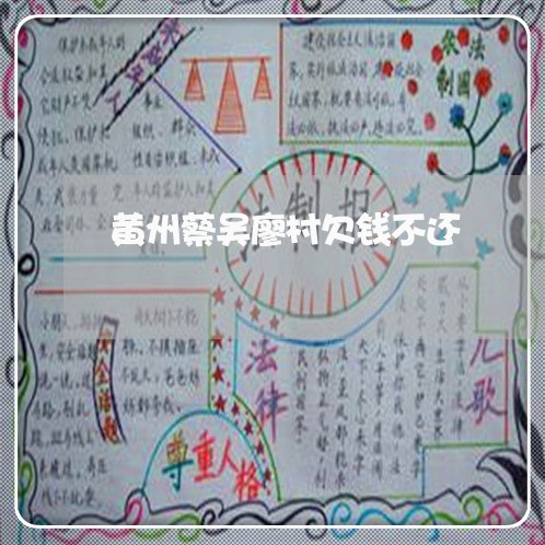 黄州蔡吴廖村欠钱不还/2023112463504