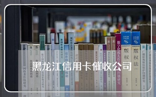 黑龙江信用卡催收公司/2023092951583