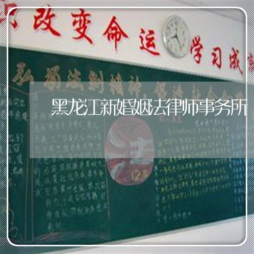 黑龙江新婚姻法律师事务所/2023111439495