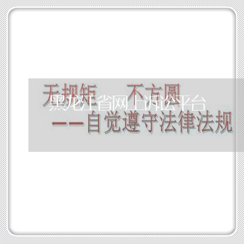 黑龙江省网上诉讼平台/2023040294957