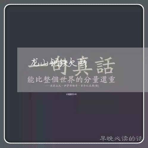 龙山钢铁欠钱/2023100601405