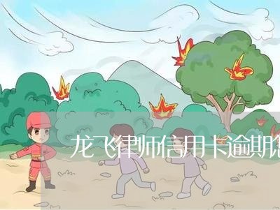 龙飞律师信用卡逾期怎么办/2023121782816