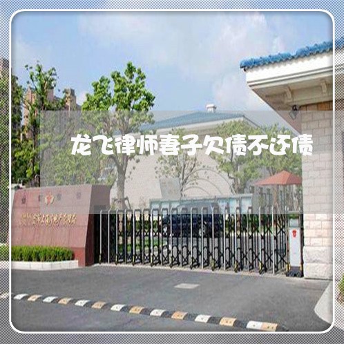 龙飞律师妻子欠债不还债/2023102513936