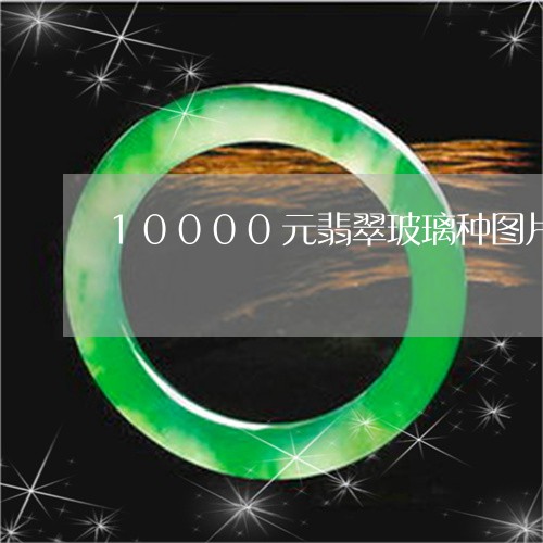 10000元翡翠玻璃种图片/2023100719484