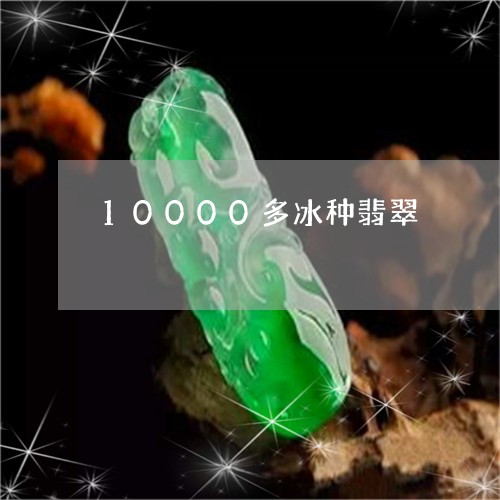 10000多冰种翡翠/2023041154625