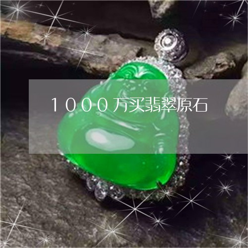 1000万买翡翠原石/2023061545979