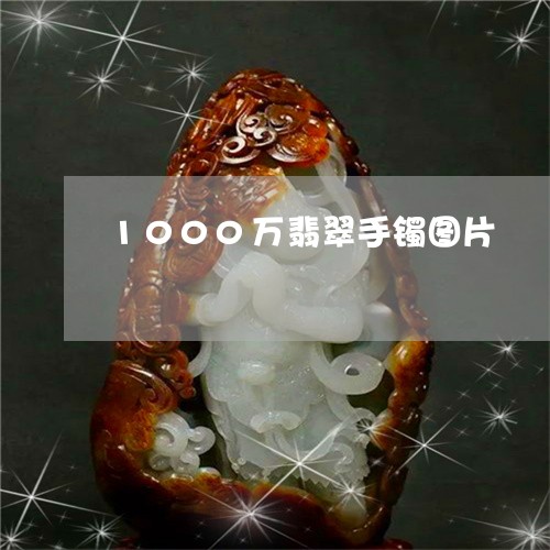 1000万翡翠手镯图片/2023070880593