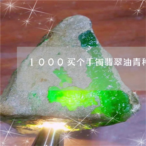 1000买个手镯翡翠油青种/2023100743726