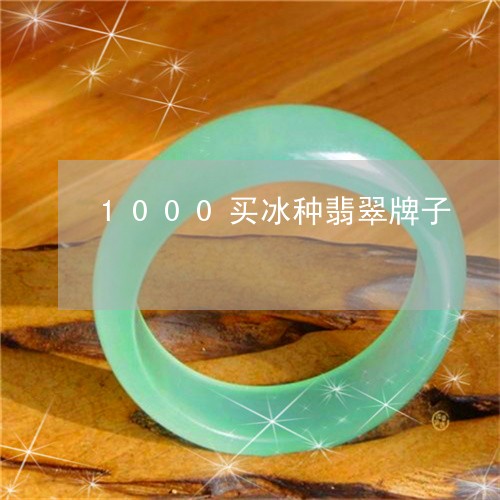 1000买冰种翡翠牌子/2023070889785