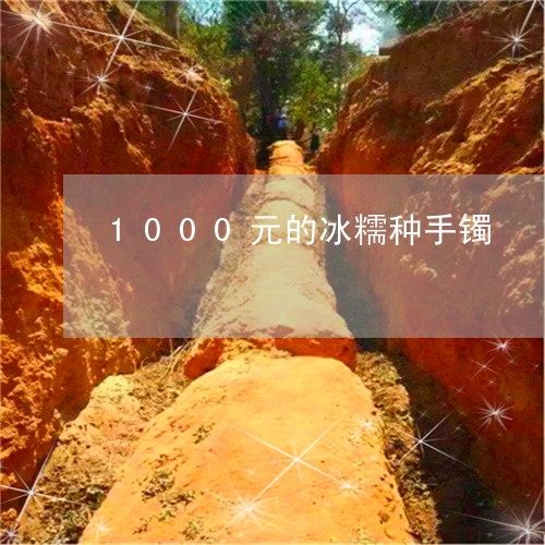 1000元的冰糯种手镯/2023070868392