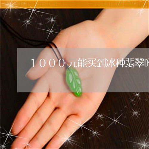 1000元能买到冰种翡翠吗/2023100781584