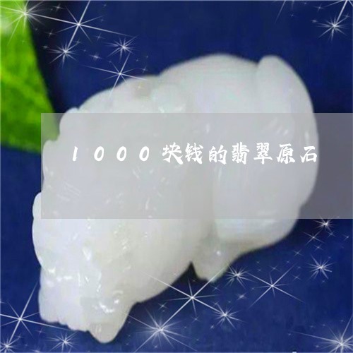 1000块钱的翡翠原石/2023070897272