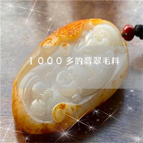 1000多的翡翠毛料/2023041154027