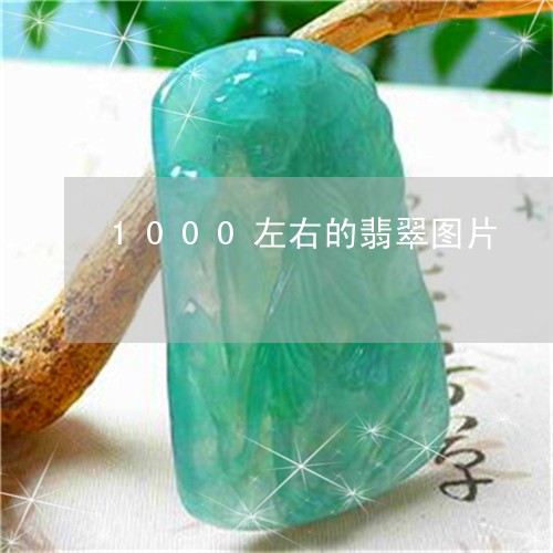 1000左右的翡翠图片/2023070849815